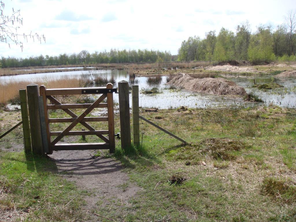 B&B De Grote Plaats Hoogstraten Kültér fotó