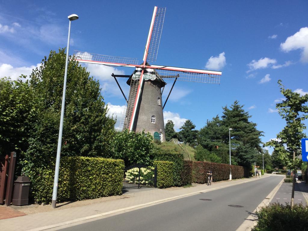 B&B De Grote Plaats Hoogstraten Kültér fotó