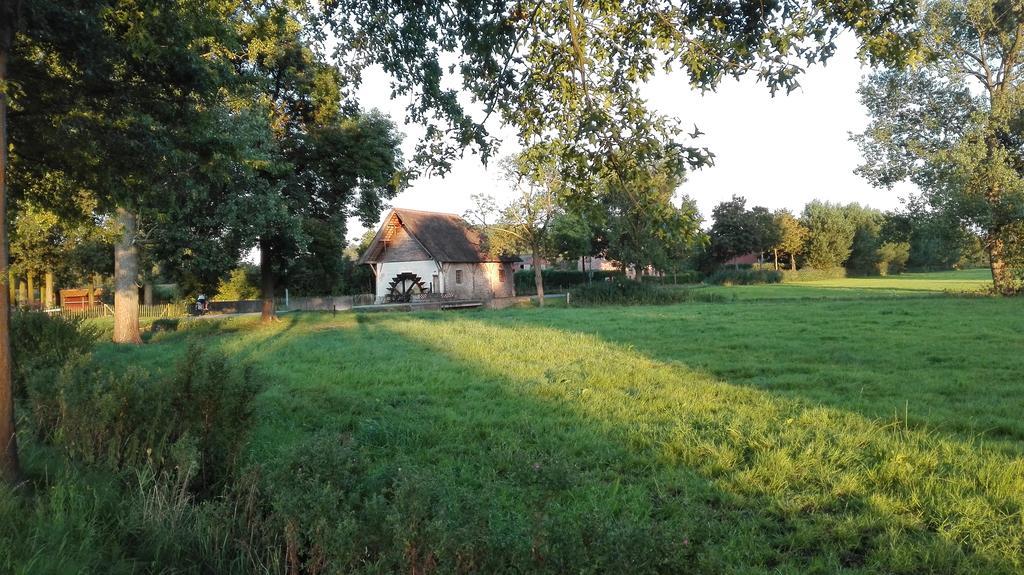 B&B De Grote Plaats Hoogstraten Kültér fotó