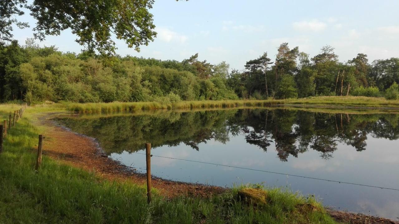 B&B De Grote Plaats Hoogstraten Kültér fotó